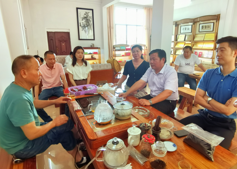 有关于湖南省茶业协会赴湘乡市开展茶产业发展调研的相关内容(2)