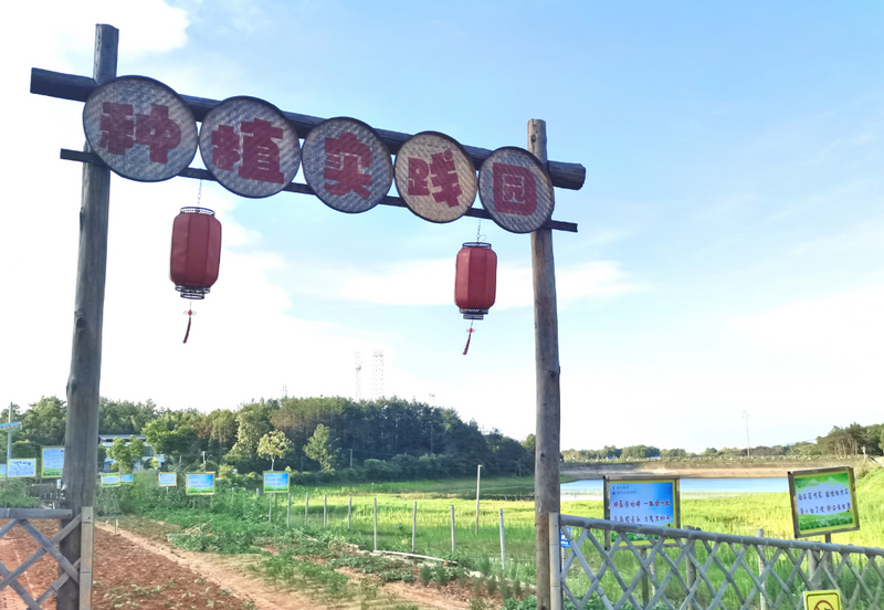 有关于湖南省茶业协会赴湘乡市开展茶产业发展调研的相关内容(6)