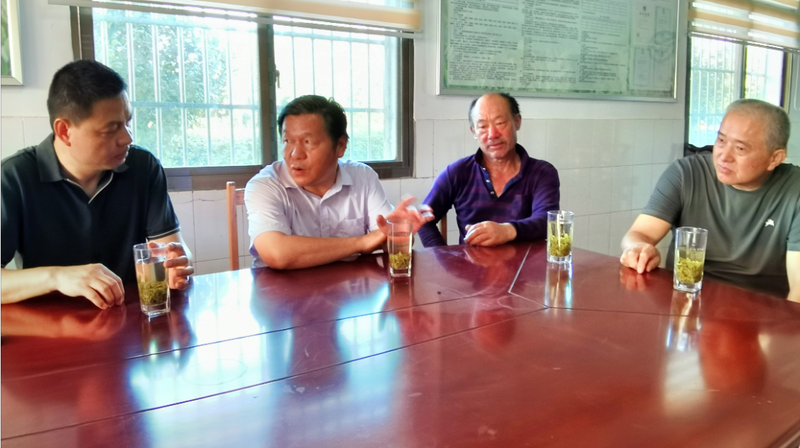 有关于湖南省茶业协会赴湘乡市开展茶产业发展调研的相关内容(3)