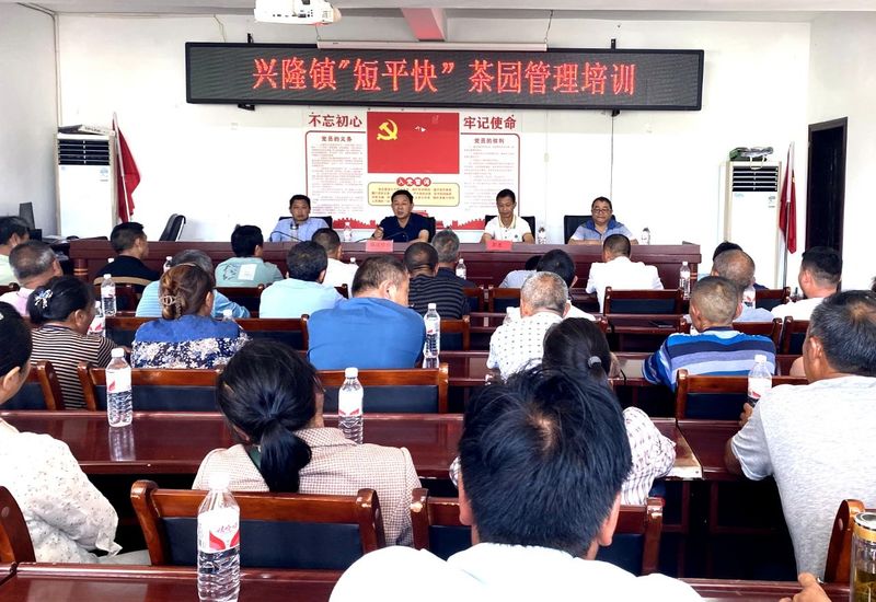 有关于抓源头，提品质！湄潭兴隆镇开展茶园管理系列培训的相关信息