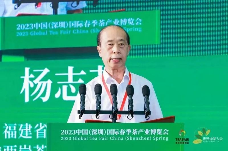 关于聚焦产销，助力绿茶行业发展  第三届世界绿茶大会成功举办！的信息(2)