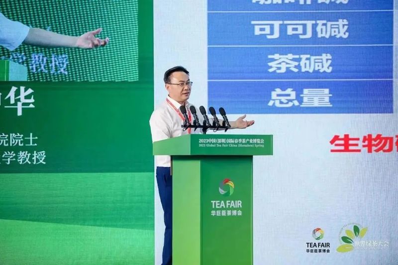 关于聚焦产销，助力绿茶行业发展  第三届世界绿茶大会成功举办！的信息(6)