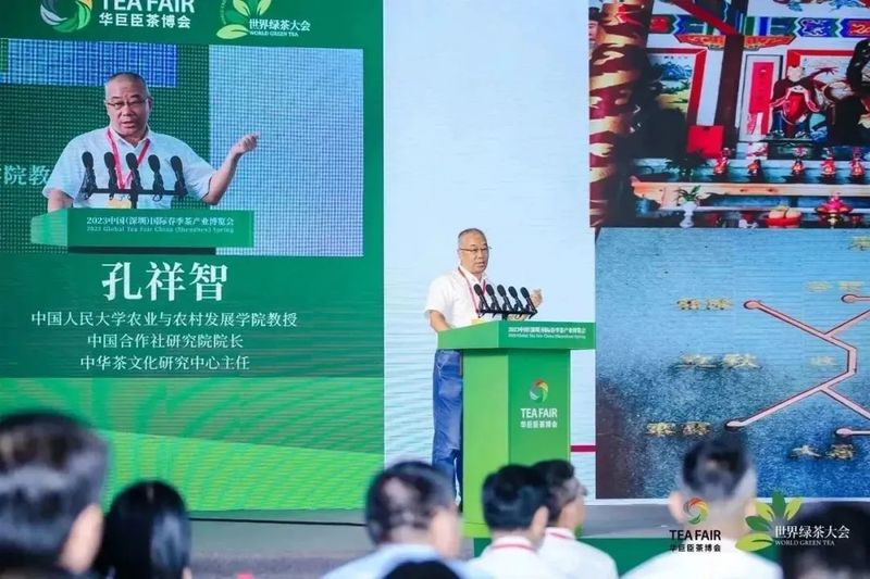 关于聚焦产销，助力绿茶行业发展  第三届世界绿茶大会成功举办！的信息(7)