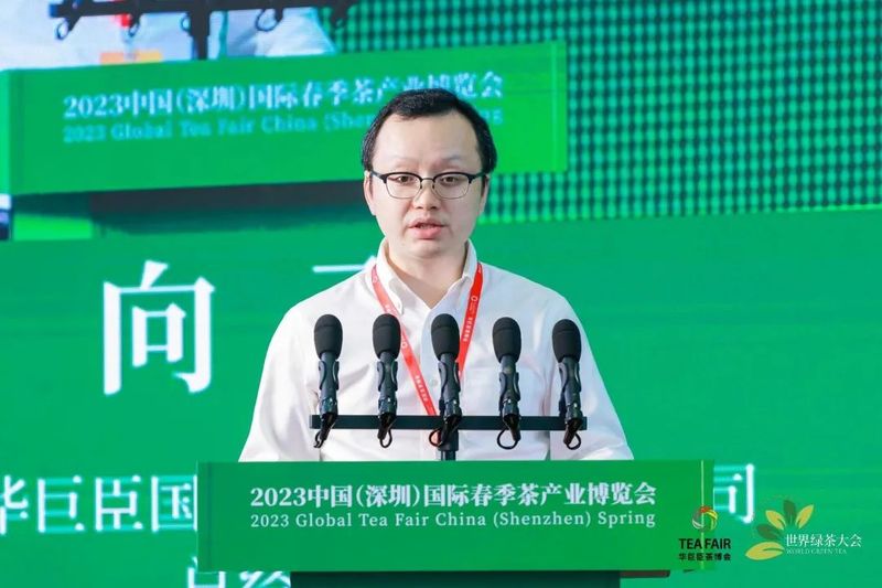 关于聚焦产销，助力绿茶行业发展  第三届世界绿茶大会成功举办！的信息(5)