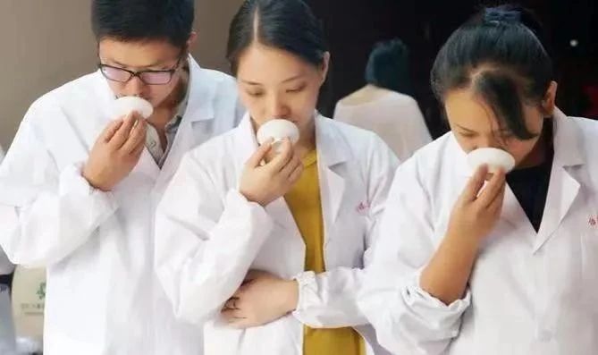 有关于茶叶审评的程序的相关内容(4)