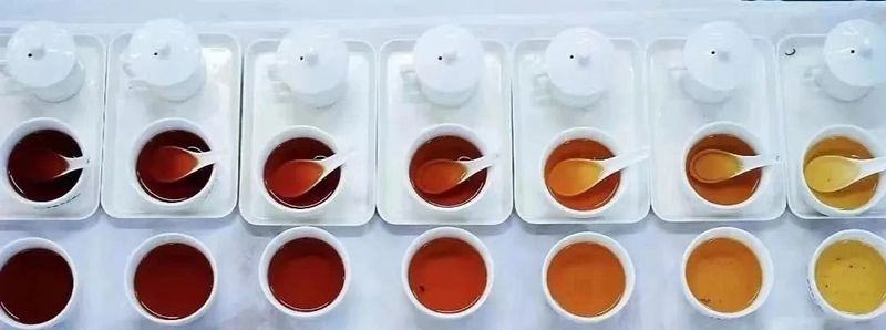 有关于茶叶审评的程序的相关内容(5)