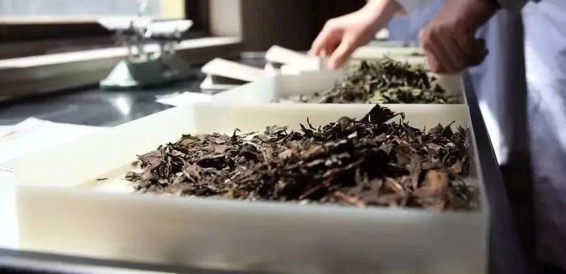 有关于茶叶审评的程序的相关内容(1)