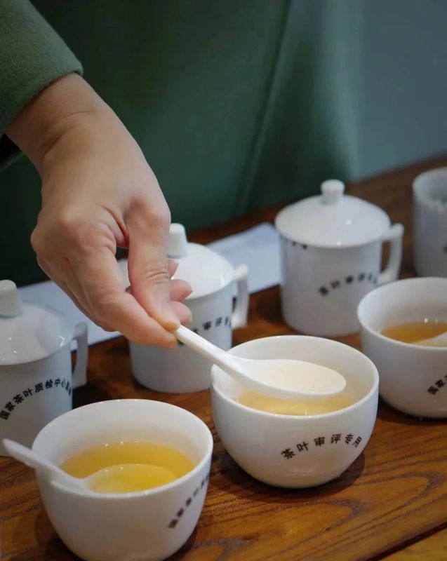 有关于茶叶审评的程序的相关内容(7)