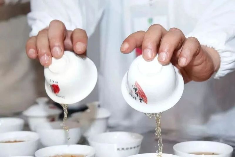 有关于茶叶审评的程序的相关内容(3)