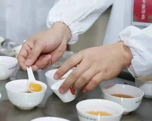 有关于茶叶审评的程序的相关内容(6)