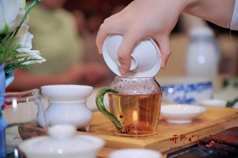 有关于2023黄山祁门美好生活大湾区邀约会暨“复兴安茶·粤见祁香”论坛盛大举行的内容(1)