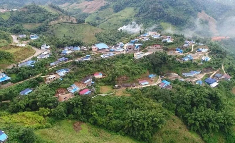 关于西双版纳苗旧村：做足“茶”文章 解锁产业振兴“密码”的最新消息