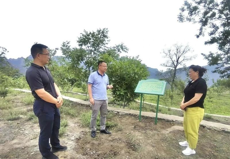 有关于房山大安山乡：监督保障首届采茶节成功举办的相关信息