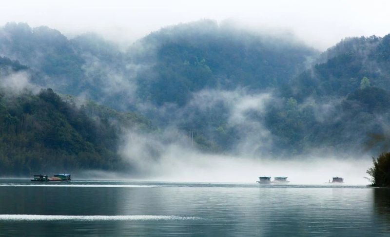 有关于“中国长寿之乡”“中国有机茶之乡”昭平县茶香之旅2日游的新闻(3)