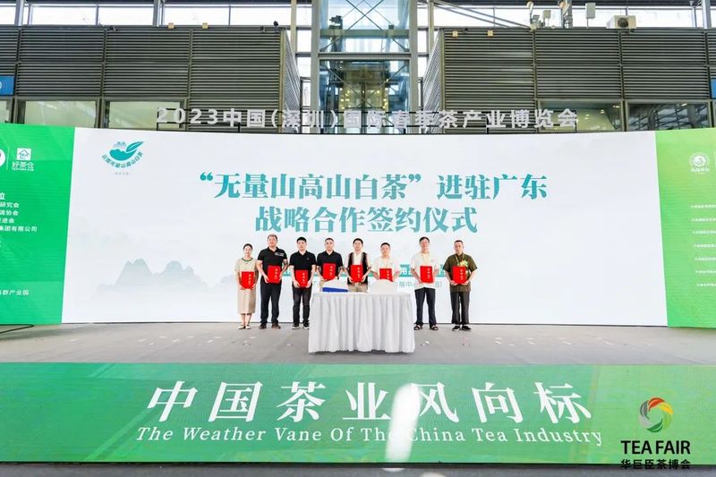 有关于云南“无量山高山白茶”区域公用品牌推介会圆满完成！云南好白茶新选头牌引爆广东市场！的最新消息(12)