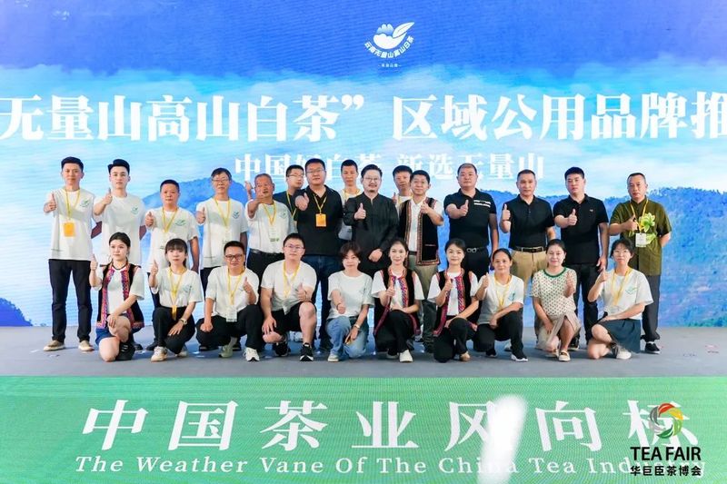 有关于云南“无量山高山白茶”区域公用品牌推介会圆满完成！云南好白茶新选头牌引爆广东市场！的最新消息(15)