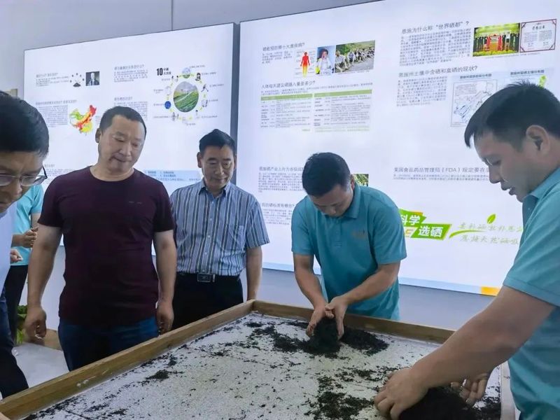 关于恩施硒茶正式走进大西北！的新闻(7)