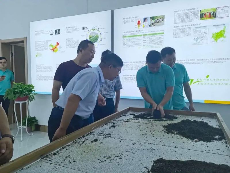 关于恩施硒茶正式走进大西北！的新闻(8)