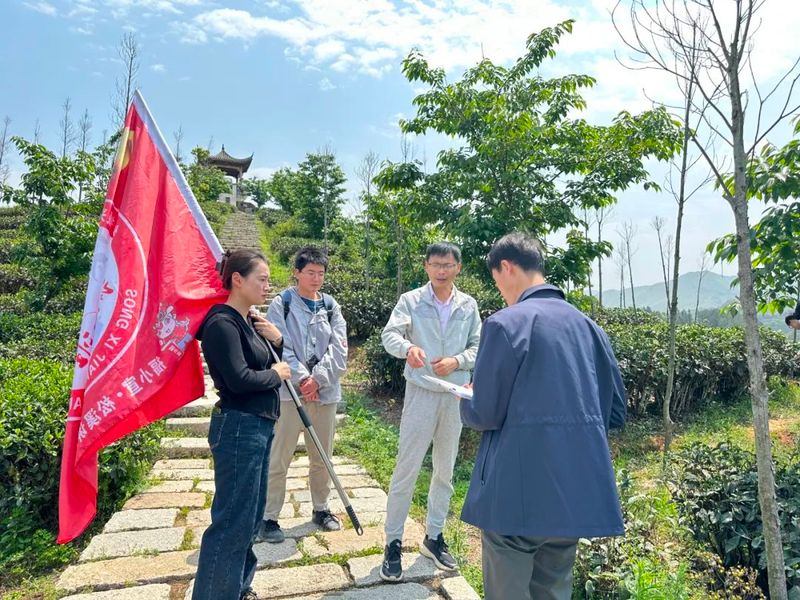 关于茶平：“剑山茶乡讲习班” 助力“茶乡”振兴的相关内容
