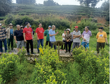 关于茶平：“剑山茶乡讲习班” 助力“茶乡”振兴的相关内容(1)