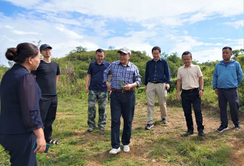 有关于中国海洋大学汪东风教授一行赴绿春县开展茶产业帮扶工作的相关信息