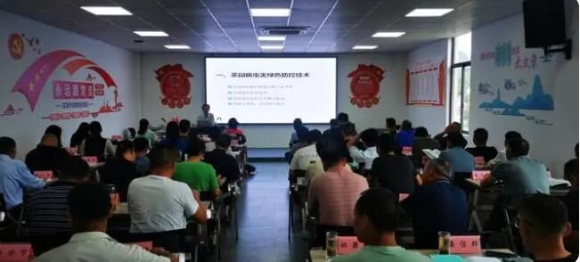 关于2023年合肥市茶产业专题培训班在庐江成功举办的消息