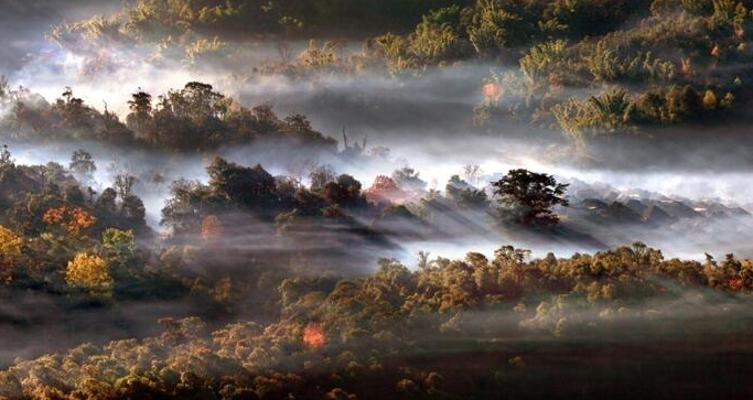 关于沪滇携手助力打造“勐海茶”产业名片的资讯