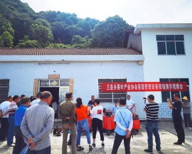关于三圣乡召开茶园管理机械作业演示现场观摩会的内容