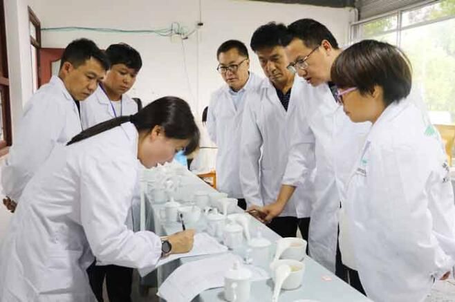 有关于凤庆县开展乡村人才振兴“制茶—斗茶”大赛的消息