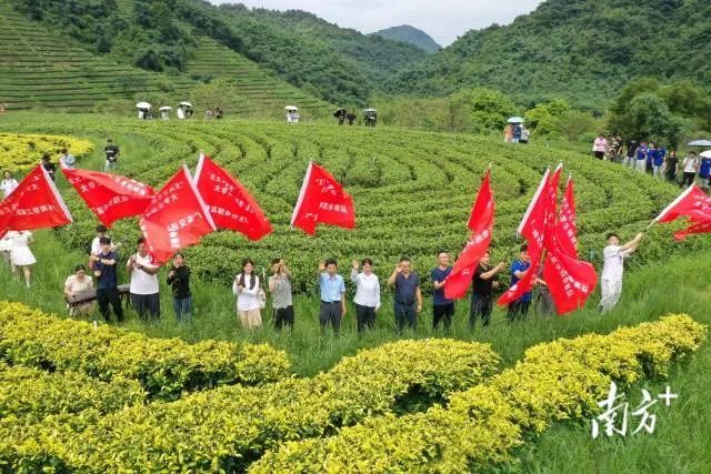 有关于“五大百亿杯”在积庆里红茶谷启动，清远大学生玩转短视频·直播助农的最新消息