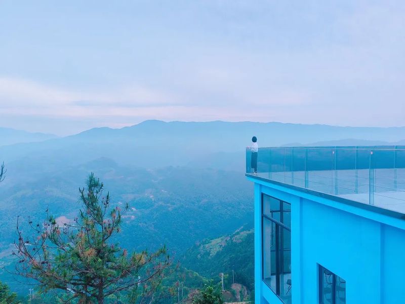 有关于黄茶基地“微改造 精提升” 打造特色农业乡村游的内容(2)