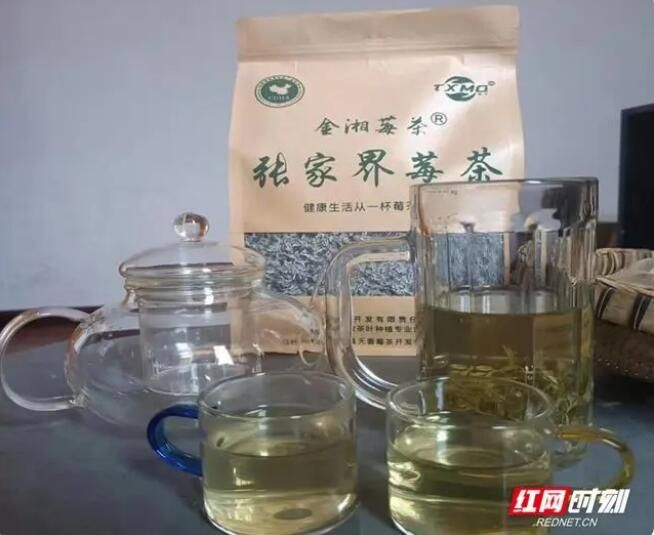 关于桑植县上河溪乡熊家坪村：盛夏莓茶采摘忙的新闻(2)