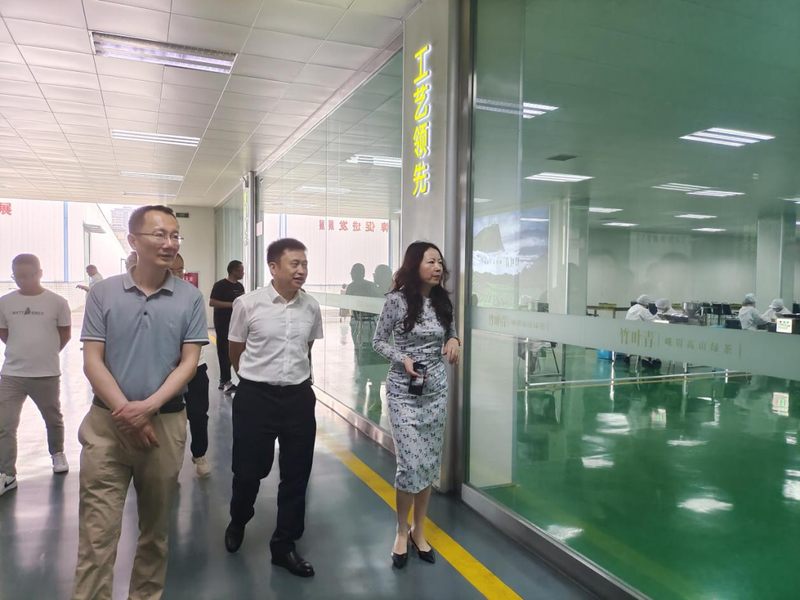 有关于前锋区人大常委会开展专题调研助力茶产业发展的相关内容(3)