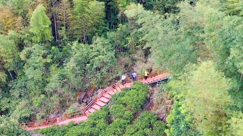 关于茶+文旅产业 潮州凤凰镇走出乡村振兴新路子的新闻(5)