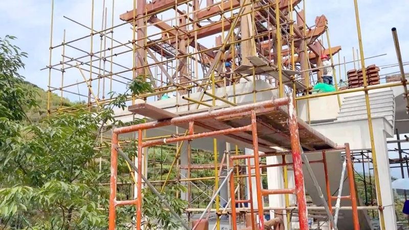 关于茶+文旅产业 潮州凤凰镇走出乡村振兴新路子的新闻(3)