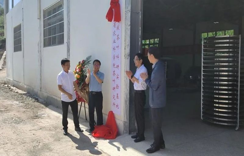 有关于以茶叶产业培训为抓手 助力喜德乡村产业振兴——喜德县开展茶叶产业技能培训的消息