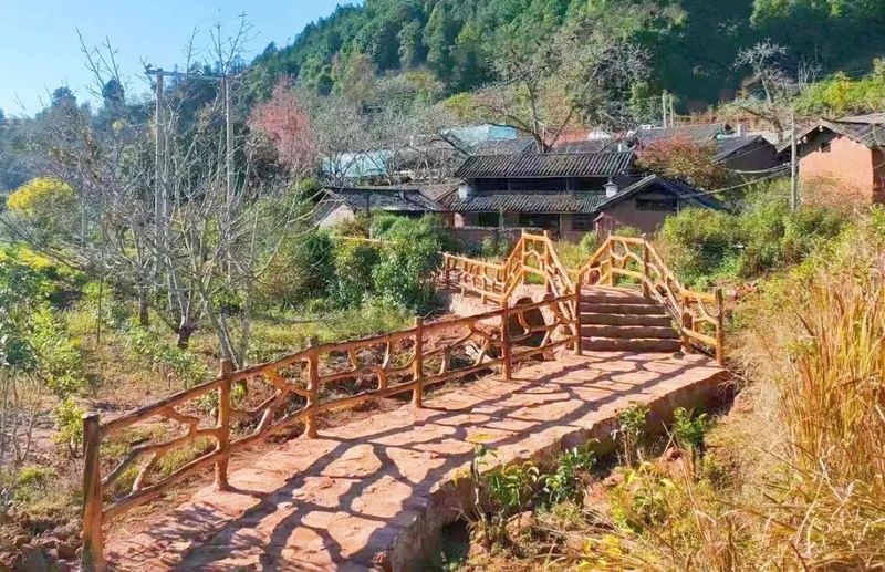 有关于景谷民乐：“沪滇帮扶”项目为景谷大白茶产业发展注入“源头活水”的相关信息(3)