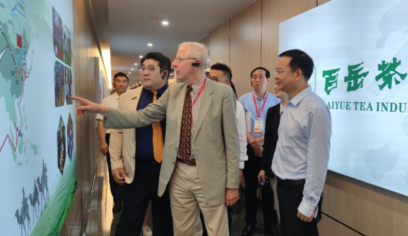 关于第四届国际（乐山）绿茶大会  以茶为媒 国际国内嘉宾齐聚夹江的新闻