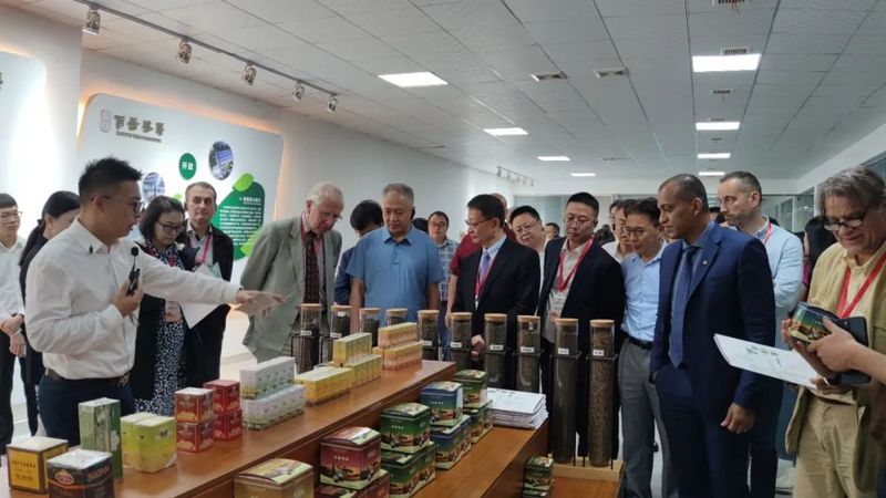 关于第四届国际（乐山）绿茶大会  以茶为媒 国际国内嘉宾齐聚夹江的新闻(1)