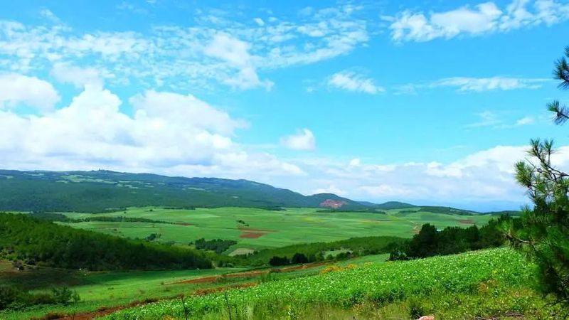 有关于滇西有个“离婚茶”，你知道吗？的相关内容(1)