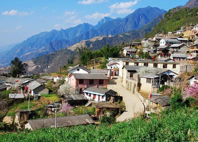 有关于滇西有个“离婚茶”，你知道吗？的相关内容