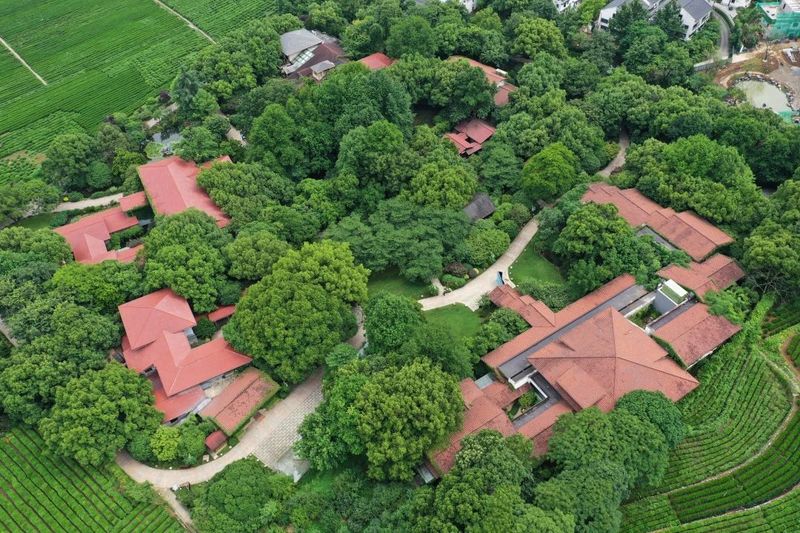 有关于中国茶叶博物馆新展正式开幕!的资讯(16)