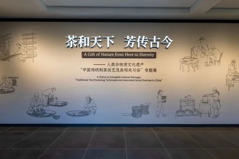 有关于中国茶叶博物馆新展正式开幕!的资讯(18)