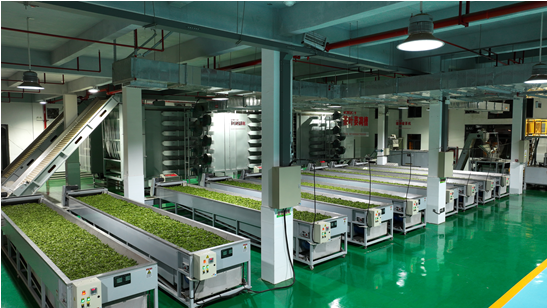 关于小叶子成“金叶子” 婺源“茶科技”赋能茶产业提质增效的资讯(1)