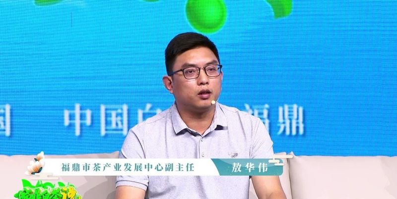 关于《福鼎白茶说》——智慧茶园的相关信息(1)