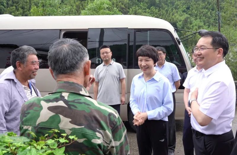 关于卢小青在婺源县调研茶产业发展工作的相关内容