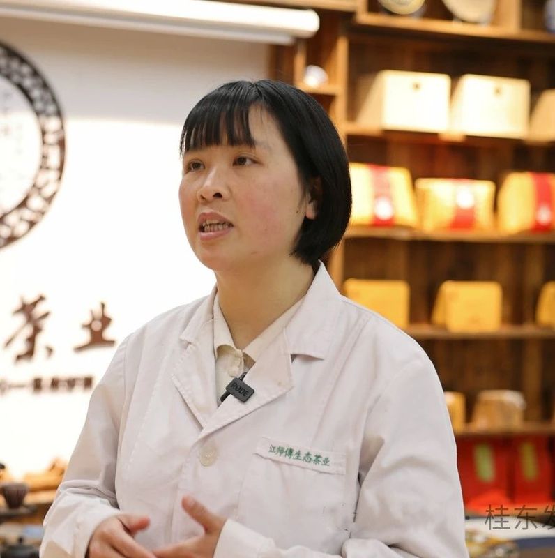 有关于清泉镇：春茶飘香采摘忙的内容(8)