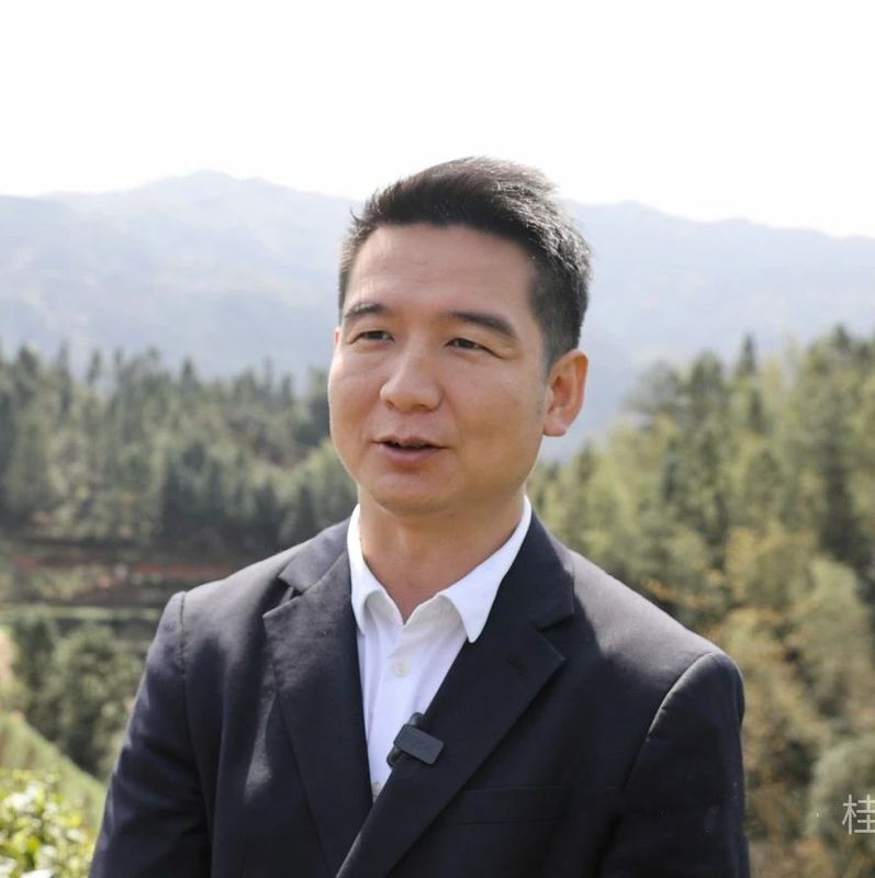 有关于清泉镇：春茶飘香采摘忙的内容(2)