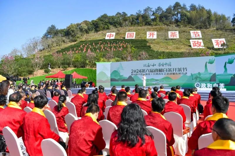 有关于2024第六届政和白茶开茶节举办的资讯
