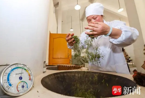 有关于南京钟山雨花茶正式开采的相关信息(2)